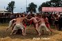 Wacken 74